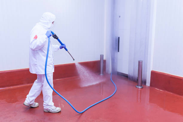 Animal Enclosure Cleaning in Bloomingdale, GA